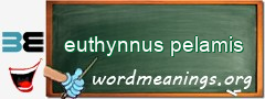 WordMeaning blackboard for euthynnus pelamis